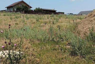 Vand 2700 mp in Sat Costi in zona lacului Vanatori - 1