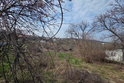 Teren intravilan sat Copacesti com Ruginesti - 5