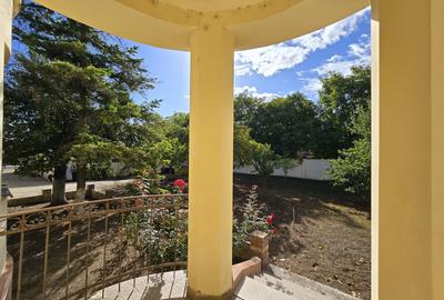 Cenad-Ultracentral-2 fronturi- Casa cu ahitectura deosebita - 9