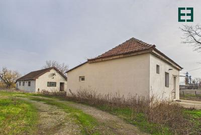 Proprietate industrială + Teren 8.632 - Voiteg - Județul Timiș - 19