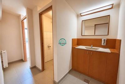 VAND SPATIU COMERCIAL PE STR. GH. DOJA, IDEAL PT. SHOWROOM, SUPERMARKET, CONSTRU - 17