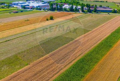 TEREN extravilan- 6 E/MP- CU PLANTATIE DE TRANDAFIRI! Teliu 7000mp - 3