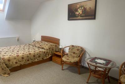 Vila  spațioasă de închiriat în centrul Brașovului - 8