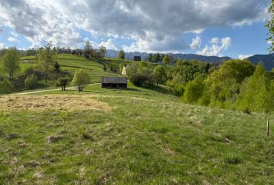 Teren intravilan 1000 mp in satul Pestera, Comuna Moieciu la 12 km de Bran - 1