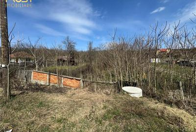 Teren Parcelabil I 11400 MP I Corpadea - 10