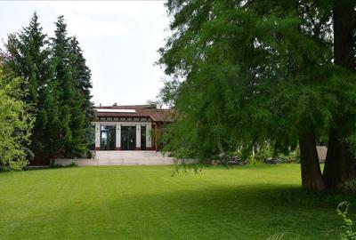 VILA SUPERBA SNAGOV  DESCHIDERE 40 ML LAC  TEREN 1750 MP - 1