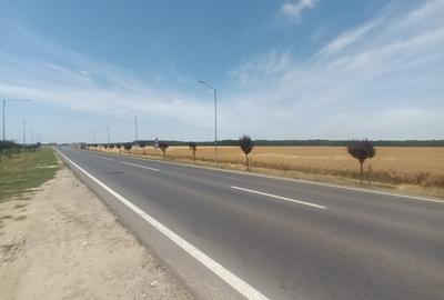 Teren Vanzare Intravilan Branesti - Investitie Zona Industriala Vis a Vis Makita - 26
