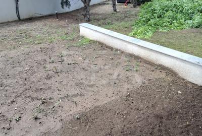 3 camere P/5, parcare, centrala, gradina,  Bdul Timisoara. - 9