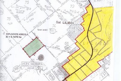 Lilieci teren 61500 mp  intravilat construibil - 1