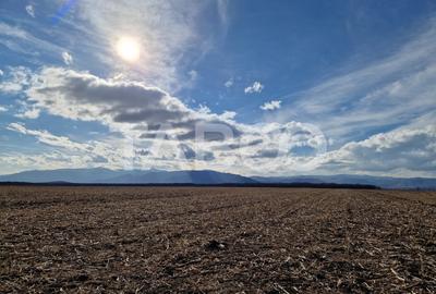 Teren agricol extravilan de 5950 mp, în Șelimbăr