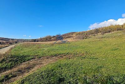 Teren intravilan\constructii \Sura Mare \ Sibiu - 8