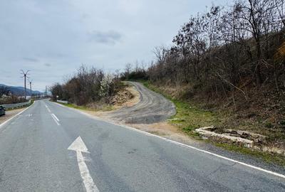 AV644 Teren intravilan, BERZASCA-DUNARE, 6042mp, posibilitate investitie turism - 5