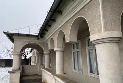 Vand gospodarie taraneasca traditionala - 9