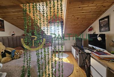 Apartament 3 camere de vanzare, zona centrala, langa Parcul Sub Arini - 8