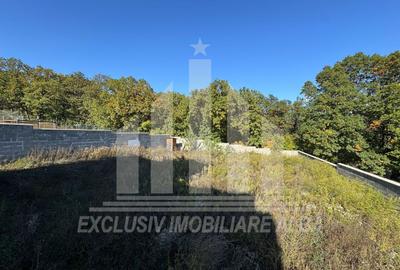 Casa individuala | 250 mp | 995 mp teren | Toate utilitatile | Seigau - 12