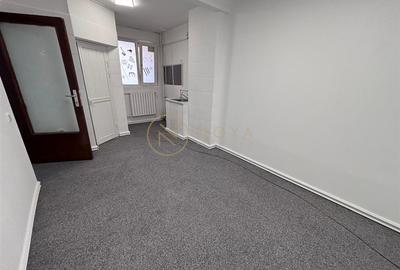 Vila individuala de vanzare in zona Banu Manta Ion Mihalache - 15