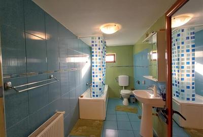 5 camere - 3 bai - 200 mp utili - teren 920 mp - Domnesti - Craitei - 11