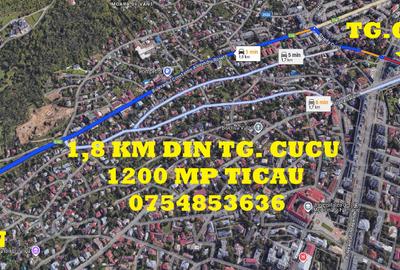 TICAU-SEMICENTRAL  , 1200 mp -oportunitate investitie / dezvoltare afacere - 13