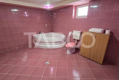 Casa individuala de vanzare cu 4 camere si curte libera 725mp in Daia - 14