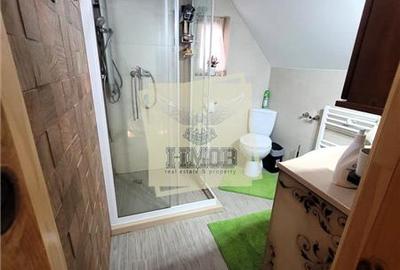 Refugiu rustic in natura – proprietate deosebita in Valea Avrigului – Sibiu - 25