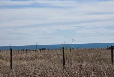 Teren intravilan 555 mp in Corbu, ideal pentru investitie - 6