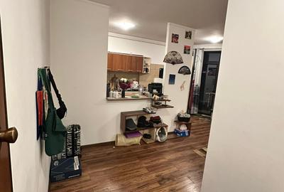 Calea Vacaresti - 2 camere , pet friendly - 10