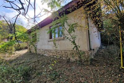Resita Casa cu Teren privat 4670 Mp. - 21