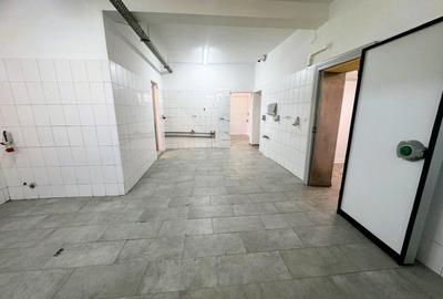 Spatiu cu alta destinatie Lipovei !!! - 7
