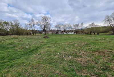 Teren Intravilan Tohanita - 6