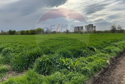 Teren cu PUZ aprobat –  Destinație logistică, industrială și servicii - 8