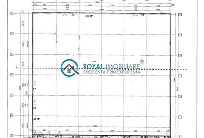 Royal Imobiliare-  Spatiu Industrial Zona Exterior Vest - 34