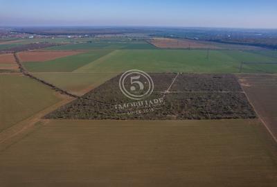 Ocazie- Teren Intravilan de Vanzare- Peris Snagov- Doar 10 euro/mp - 14