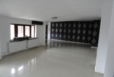 Vila Interbelica in stil Baroc | Unirii / Budapesta | Oportunitate Investitie - 7