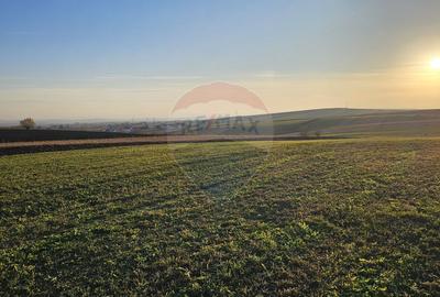 Teren agricol extravilan de 10152 mp, în Stroiești