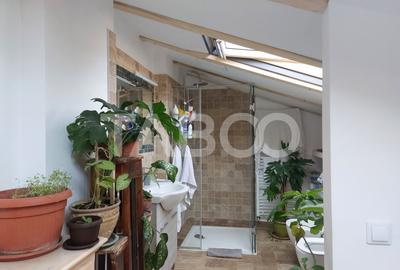 Casa de vanzare 3 camere 2 bucatarii 3 bai teren 340 mp Cisnadie - 21