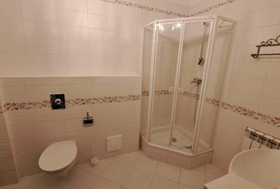 Kiseleff (adiacent), 4 camere de inchiriat,  156 mp, p/5, terasa, curte 150 mp, - 15