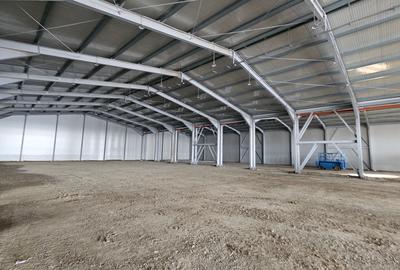 Inch HALA 1560 mp + 240 mp birouri | Sos Pipera Tunari - 4