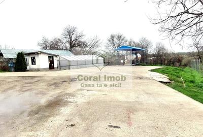 OPORTUNITATE Afacere la Cheie – Stație GPL Auto  Ghimpati, Giurgiu - 4