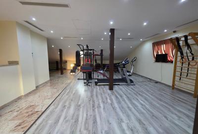 Timpuri Noi, 10 minute metrou, pe Cuza Voda, vila exclusivista P+1+M, lux, - 45