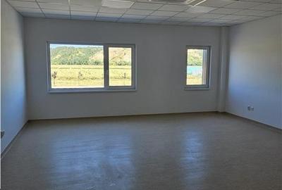Spatiu Industrial - 2500 mp - Logistica - Productie - Depozitare - Distributie - 18