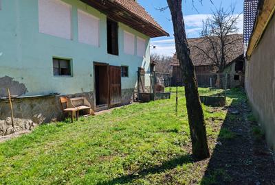 Casa 3 camere libera la vanzare TARLUNGENI - 16
