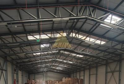 STEFANEȘTII DE JOS |  PARC INDUSTRIAL | POZIȚIONARE STRATEGICĂ - A3 -A0-DNCB - 5
