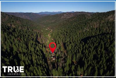Cabană 210 m² + teren 1400 m² | Sălard, Mureș - 2