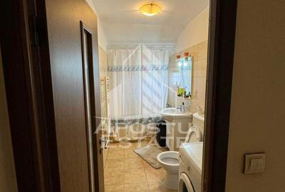 Apartament cu 1 camera de inchiriat, zona Dambovita, Timisoara - 5