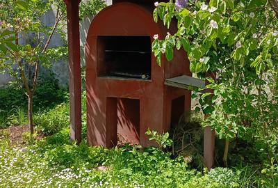 Băneasa  închiriez ap 3 cam vila et 2+mansarda mobilat tot 1 loc parcare garaj - 2