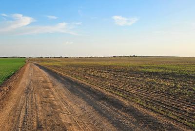 Teren Extravilan GIURGIU 16 Ha (la 50km de București) - 5