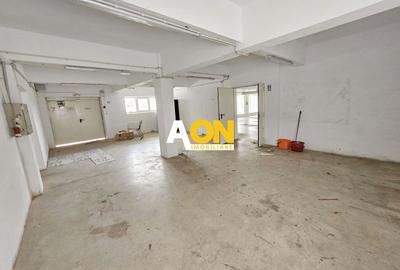 Spatiu industrial pentru productie sau depozitare, 1600 mp, Sebes - 4