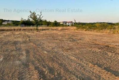 Teren 1200 mp (30x40) - Cartier Romatsa - 3