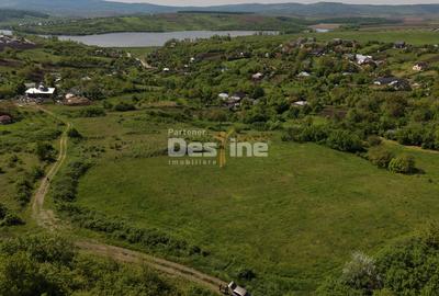 Teren compact intravilan 8000 mp vedere spre Lac, utilități - 7