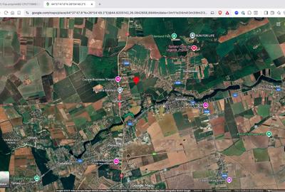 Teren intravilan 18.200 mp Saftica Balotesti - 10